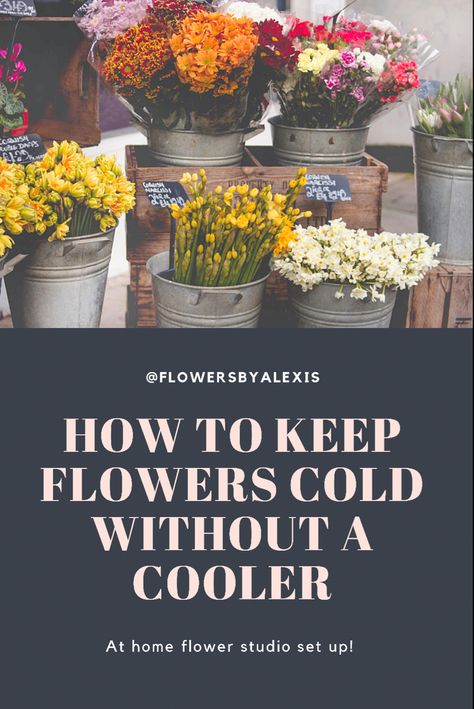 How to keep flowers cold without a cooler Florist Tools Organization, Flower Studio At Home, Flower Home Aesthetic, Basement Floral Studio, Flower Farmer Outfit, Walk In Flower Cooler, Flower Cooler Ideas, Home Flower Shop, Florist Storage Ideas