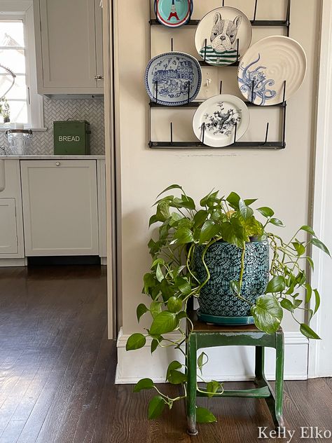 My Favorite Thrift Store of All Time - Kelly Elko Chair As Plant Stand, Thrifted Plant Stand, Plant Stand Ideas Indoor, Plant Chair, How To Decorate A Sideboard, Indoor Plant Stand Ideas, Plants Indoor Decoration, Chair Plant Stand, Childrens Chair