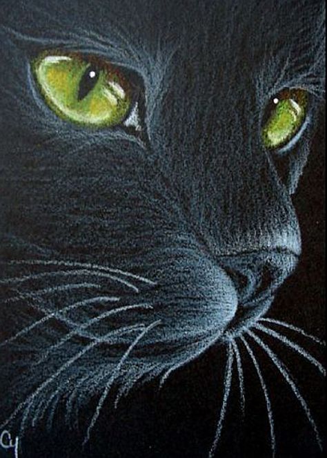 Black Cat Pastel Drawing, Owl Art Painting, Pastel Animals, Black Cat Painting, Black Paper Drawing, Blue Owl, Black Cat Art, Desert Art, Cat Artwork