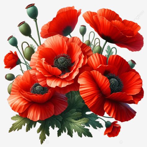 a bouquet of red flowers with the words a bouquet of red flowers bouquet of red flowers red flower Cabachon Ideas, Poppy Clipart, Red Flower Bouquet, Flower Words, Floral Wallpaper Phone, Colourful Art, Flowers Red, Transparent Image, Orange Flower