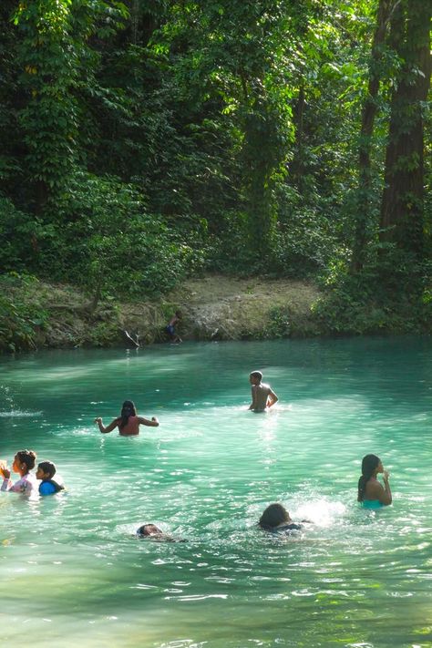 Locals Swimming in the River, #dominicanrepublic #puertoplata #sosua Dominican Republic Beaches, Puerto Plata Dominican Republic, Dominican Republic Travel, Sosua, Girls Vacation, Senior Trip, Vacation Pictures, Vacation Places, Summer Pictures