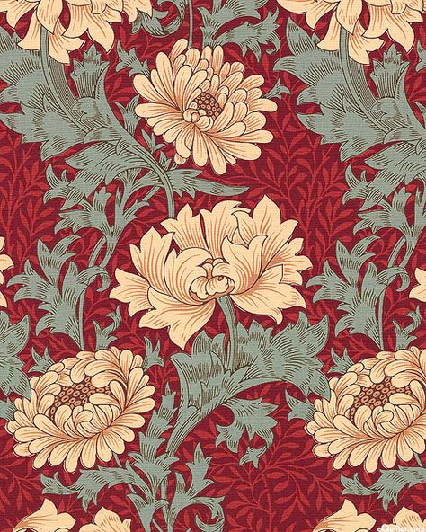 William Morris - Merton - Chrysanthemum - Quilt Fabrics from www.eQuilter.com Fleurs Art Nouveau, William Morris Wallpaper, William Morris Patterns, Morris Wallpapers, Motif Art Deco, William Morris Art, William Morris Designs, Easy Arts And Crafts, Art And Craft Videos