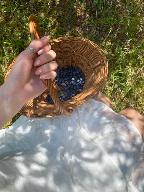 Bree Prescott, Blueberry Girl, Blueberry Picking, Strawberry Shortcake Characters, Berry Picking, Modern Disney, Princess Aesthetic, Spring Aesthetic, Stardew Valley