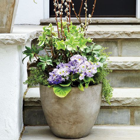 Stylist Sasha Seymour creates containers with unexpected plant combinations to dress up your garden for summer. Fall Container Plants, Planter Arrangements, Fall Container Gardens, Spring Planter, Container Garden Design, Patio Pots, Fall Planters, Flower Pots Outdoor, Spring Plants