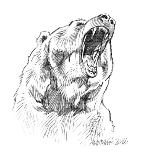 Bear Drawing Scary, Bear Drawing Tattoo, Bear Sketches, Grizzly Bear Drawing, Drawing Wood, Bear Sketch, Bear Drawings, Tools Drawing, Dremel Projects