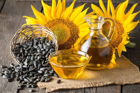 Sunflower Seeds Benefits, Dental Images, Black Oil Sunflower Seeds, Small Sunflower, Sprouting Seeds, Edible Oil, Linoleic Acid, Oil Benefits, Homemade Remedies