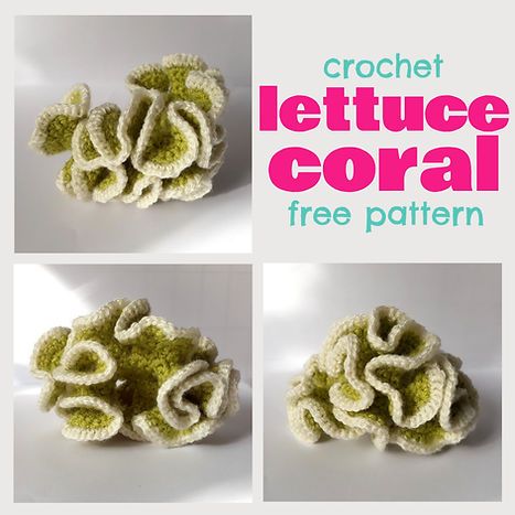 Crochet Lettuce, Lettuce Coral, Crochet Coral Reef, Hyperbolic Crochet, Crochet Coral, 2024 Crochet, Crochet Sea Creatures, Crochet Fish, Cat Crochet