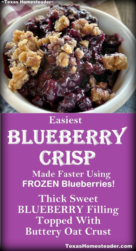 This blueberry crisp recipe features a thick sweet blueberry filling topped with a crispy buttery oat crust. It’s a simple recipe that uses a frozen-berry shortcut!   . . #TexasHomesteader #Blueberry #Dessert #EasyRecipe #BlueberryCrisp Blueberry Crisp Bars, Blueberry Crisp Recipe With Frozen Blueberries, Cherry Blueberry Crisp, Blueberry Cobbler With Frozen Blueberries, Frozen Blueberry Crisp, Blueberry Pie Frozen Blueberries, Wild Blueberry Crisp, Frozen Blueberry Crumble, Desserts Using Frozen Blueberries