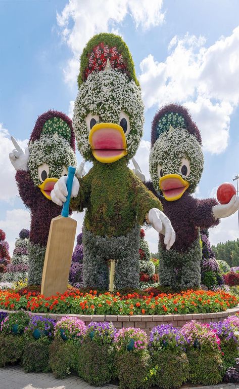 dubai Dubai Beach, Miracle Garden, Dubai Cars, Medicinal Garden, Dubai Airport, Dubai Aesthetic, Dubai Lifestyle, Nursery Activities, Desert Safari