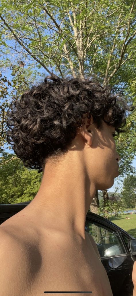 Perm On Boys Hair, Natural Curly Hair Men Haircut, Brazil Hairstyle Men, Male Curly Hairstyles Short, Long Curly Taper Fade, Low Taper Curly Hair Long, Grown Out Curly Hair Men, Hair Cuts For Curly Hair For Boys, Types Of Perms Men