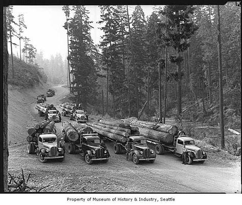 Photos: A tale of the Northwest's logging past Classic Trucks Vintage, Old Western Towns, Logging Industry, Big Timber, Logging Equipment, Forestry Equipment, Western Washington, Heavy Duty Trucks, Kenworth Trucks