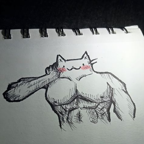 Muscle, cute, strong, art, sketch, pen, cat, body. Strong Cat Drawing, Muscular Poses Drawing, Muscular Cat Drawing, Cat With Muscles, Giga Chad Cat, Buff Cat Drawing, Memes Sketch, Giga Cat, Funny Cat Doodles