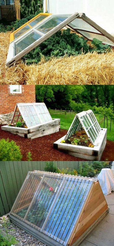 42 Best DIY Greenhouses ( with Great Tutorials and Plans! ) - A Piece of Rainbow Greenhouses, Lawn, Diy Greenhouses, Cold Frames, Winter Garden, Cool Diy, How To Build, Yard, Frame