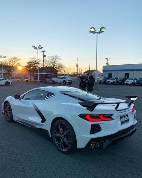 White Corvette Stingray, White Corvette C8, Corvette 2020, White Corvette, Audi Sports Car, C8 Corvette, Trucks Lifted Diesel, Corvette C8, Pimped Out Cars