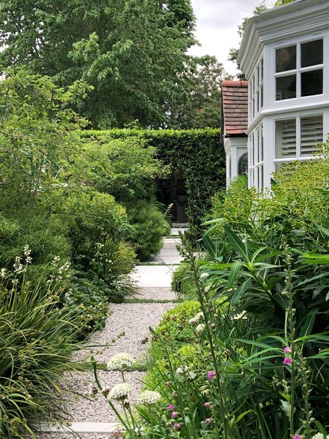 Chiswick Triangular Garden - Contemporary - Garden - London - by Charlotte Rowe Garden Design | Houzz UK Charlotte Rowe, Laurel Hedge, Elegant Landscape, Elegant Garden, Dark House, Garden Tours, By Charlotte, Landscaping Ideas, Hedges