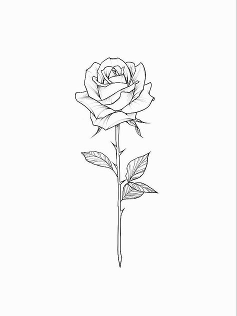 Simple Vine Tattoo, Leaf Vine Tattoo, Vine Tattoo Stencil, Rose Stem Tattoo, Tattoo Homme, Rose Tattoo Stencil, Single Rose Tattoos, Thorn Tattoo, Rose Tattoo On Arm