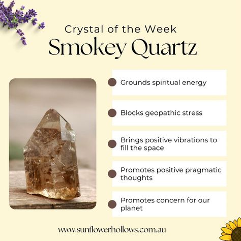 The crystal of the week is 🥁 SMOKEY QUARTZ 🌻 Smokey Quartz is said to 🌻 Have a strong link to the Earth 🌻 Promote concern for the Earth 🌻 Ground spiritual energy 🌻 Block geopathic stress 🌻 Absorb electromagnetic smog 🌻 Bring positive vibrations to fill the space 🌻 Teach you to leave behind what doesn’t serve you 🌻 Promote positive pragmatic thoughts Among other things. Smokey Quartz is associated with the base chakra. Follow the link in our bio to find these on sunflowerhollows.com.au ... Quartz Crystal Meaning, Crystal Magick, Earthing Grounding, Healing Journaling, Base Chakra, Energy Blocks, Positive Vibrations, Smoky Quartz Crystal, Spiritual Energy