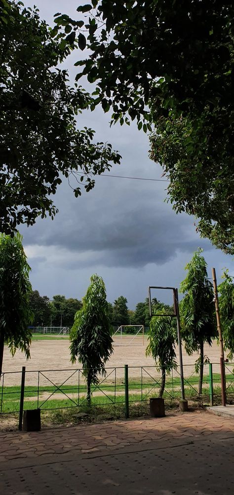 The sky just before rain Monsoon Sky, Rain Tree, The Sky, Drawings, Quick Saves