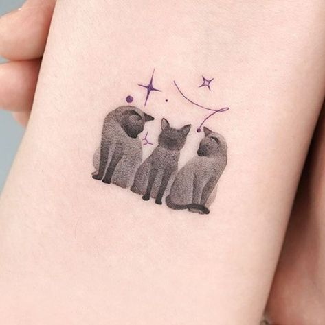 40 Simple and Stylish Cat Silhouette Tattoos. | Inku Paw Cat Tattoo Designs 3 Cats, 3 Black Cat Tattoo, Three Cats Tattoo Simple, Matching Cat Tattoos For 3, Cat Tattoo 3 Cats, 3 Cat Tattoo Ideas, Multi Cat Tattoo, Cat Toy Tattoo, Three Cat Tattoo Design