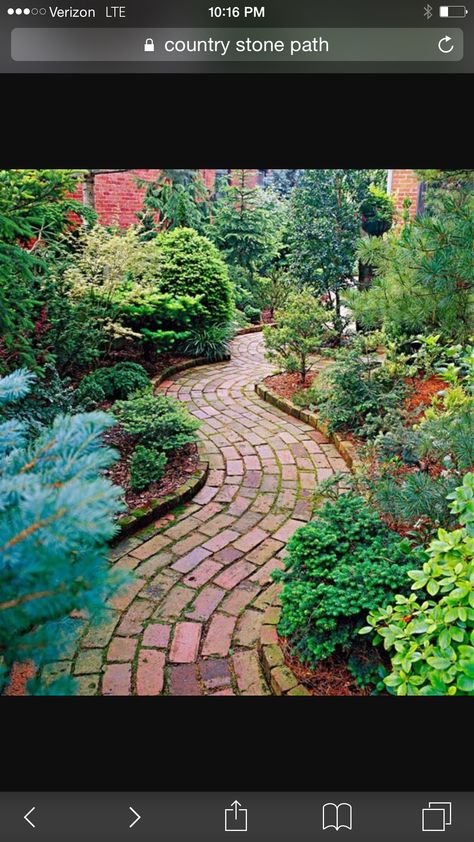 Windy brick path Rock Pathways, Moss Lawn, Rock Pathway, Yard Inspiration, Brick Path, Brick Walkway, Walkways Paths, Brick Paving, Jungle Gardens