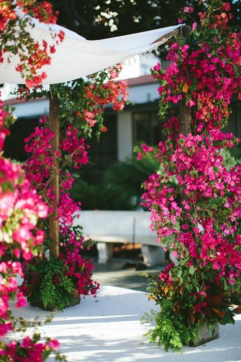 Flower Scapes, Vertical Garden Flowers, Flower Wedding Arch, Floral Chuppah, Tropical Garden Party, Bougainvillea Wedding, Fuschia Wedding, Wedding Chuppah, Colorful Arrangements