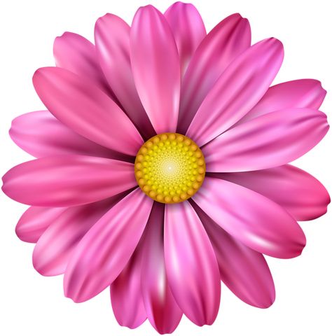 Pink Flower Transparent Image Pink Flowers Clipart, Flowers Png Hd, Clipart Of Flowers, Pink Flower Png, Pink Flower Background, Background Hd Png, Clip Art Flowers, Flower Clipart Png, Flowers Transparent