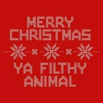 Merry Christmas! *funny* Animal Sweater, Merry Christmas Ya Filthy Animal, Funny Christmas Tshirts, Ya Filthy Animal, Christmas Tshirt, Filthy Animal, Christmas Time Is Here, Jingle All The Way, Animal Care