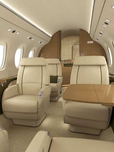 Private Plane Interior, Jets Privés De Luxe, Jet Interior, King Of Wrath, Mansion Aesthetic, Private Jet Interior, Plane Seats, Jet Privé, Design Studio Office