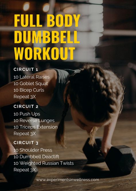 Gym Workouts | Full Body Dumbbell Workout | Experiments In Wellness 30 Min Strength Workout, Wods Crossfit, Full Body Dumbbell, Crossfit Workouts At Home, Full Body Dumbbell Workout, Best Gym Workout, Open Gym, Dumbell Workout, Lifting Workouts