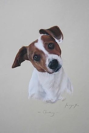 Jack Russell Terrier Drawing, Chien Jack Russel, Portraiture Artist, Jack Terrier, Smooth Fox Terriers, Dog Portraits Art, Jack Russell Dogs, Puppy Art, Jack Russells