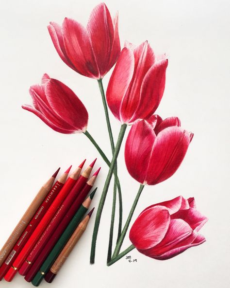 Pencil Colour Drawing Flower, Colored Pencil Drawing Tutorial, Pencil Drawings Of Flowers, Color Pencil Sketch, Prismacolor Art, Colored Pencil Artwork, Flower Art Drawing, Colored Pencil Techniques, Flower Sketches