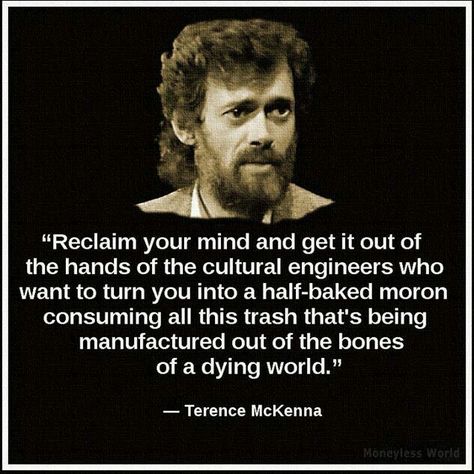 Terrance Mckenna quotes Soviet Visuals, Terence Mckenna, Ju Jitsu, Philosophy Quotes, What’s Going On, Martin Luther King, Quotable Quotes, Wise Quotes, Beards