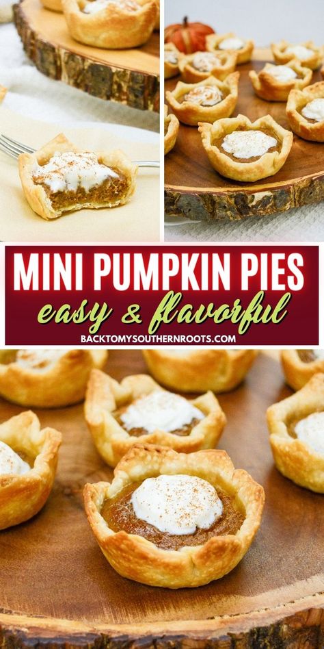 Mini Pumpkin Pies In A Muffin Tin, Pumpkin Pie Bites, Mini Pumpkin Pies Easy, Mini Pumpkin Pies Recipe, Mini Pumpkin Pies, Pumpkin Pie Recipes, Mini Pumpkins, Chocolate Treats, Graham Crackers