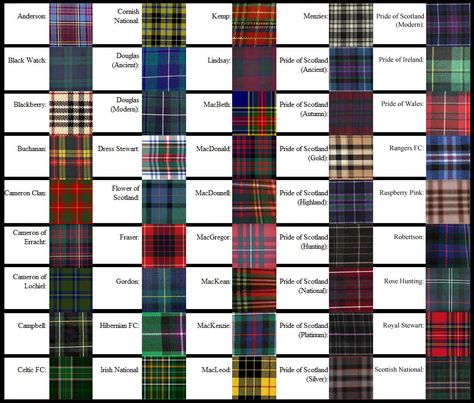 tartans | The current lounge is pretty clanish. McReilly?! - Democratic ... Rita Ora Style, Scotland History, Scottish Ancestry, Great Scot, Celtic Heritage, Fashion Vocabulary, Men In Kilts, Scottish Clans, Scottish Heritage