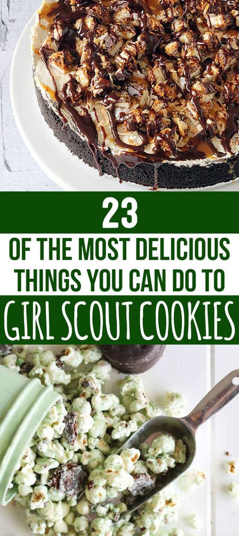 23 Delicious Ways To Eat Girl Scout Cookies Girl Scout Cookie Sales, Girl Scout Cookies Booth, Gs Cookies, Brandy Snaps, Desserts Cookies, Girl Scout Juniors, Eat Cookies, Recipe Girl, Perfect Cookie