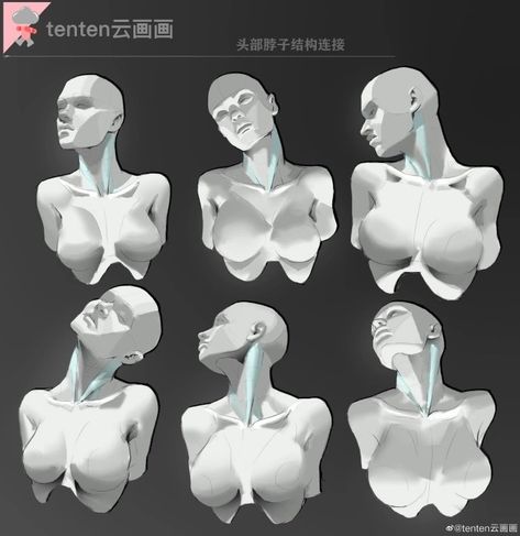 Celana Jogger Wanita, Female Anatomy Reference, Anatomy Sculpture, Anatomy Tutorial, Human Anatomy Drawing, 얼굴 그리기, Human Figure Drawing, Human Anatomy Art, Anatomy Sketches