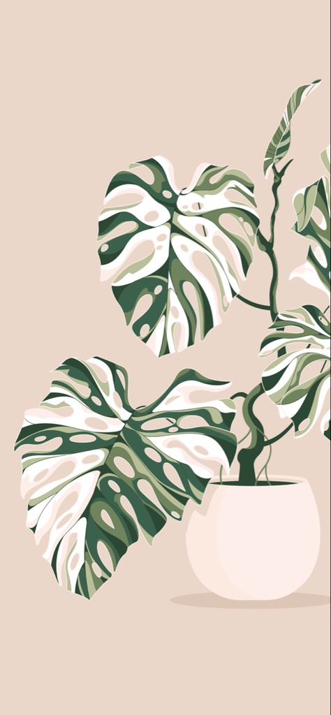 Plant Aesthetic Wallpaper Drawing, Asethic Ipad Homescreen, Alternative Iphone Wallpaper, Monstera Wallpaper Aesthetic, Plants Aesthetic Drawing, Plants Widget, Plant Lockscreen, Plant Wall Prints, Plant Digital Art