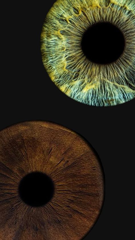 Green Brown Eyes, Amber Eyes, Eye Pictures, Eyes Wallpaper, H.e.r Aesthetic, Iphone Lockscreen Wallpaper, Instagram Ideas Post, Journal Writing Prompts, Bullet Journal Writing