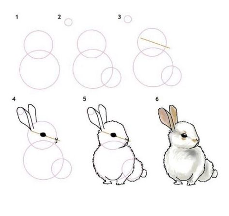 Drawing Instructions, Pencil Drawings For Beginners, Rabbit Drawing, Bunny Painting, Bunny Drawing, Rabbit Art, Easy Doodles Drawings, Bunny Art, Step Drawing