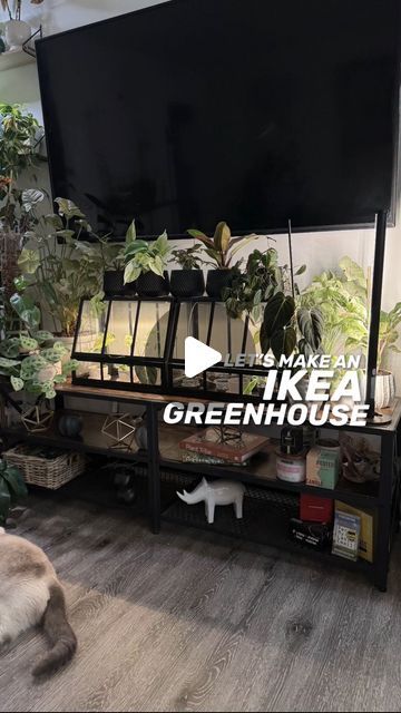 Ikea Greenhouse Ideas, Ikea Akerbar Greenhouse, Ikea Terrarium Ideas, Åkerbär Ikea Greenhouse, Ikea Mini Greenhouse, Ikea Plant Cabinet, Greenhouse Ikea, Milsbo Greenhouse, Ikea Greenhouse Cabinet