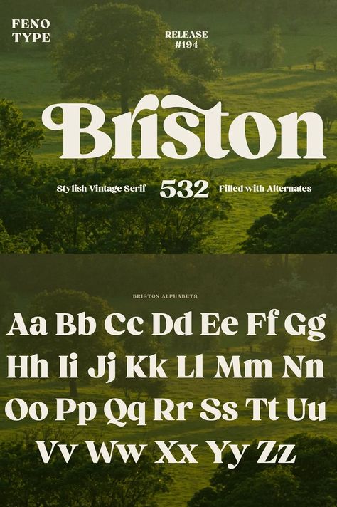 Briston Serif is a modern serif font with a touch of classicism. It's perfect for branding, editorial design, and. #VintageFonts #FreeFonts #RetroDesign #Typography #GraphicDesign Display Serif Font, Old School Fonts, Font Sets, Bullet Journal Hand Lettering, Edgy Fonts, Bold Serif Fonts, Font Serif, Strong Font, Modern Serif Fonts