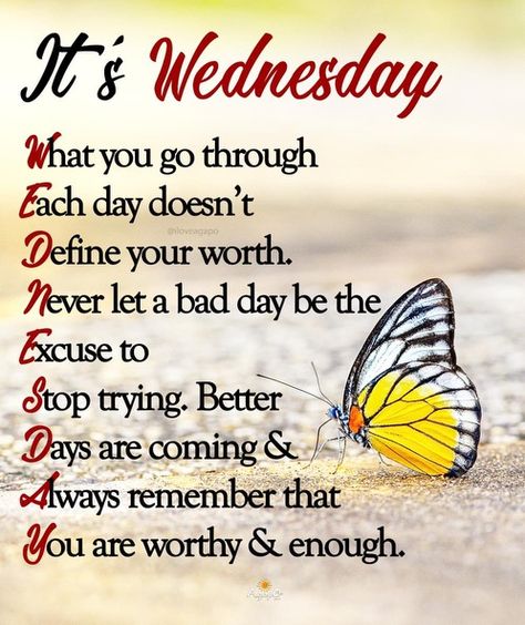 Its Wednesday Quotes, Wednesday Good Morning, Its Wednesday, Better Days Are Coming, Wednesday Quotes, Wednesday Motivation, Morning Blessings, You Are Worthy, Jesus Pictures