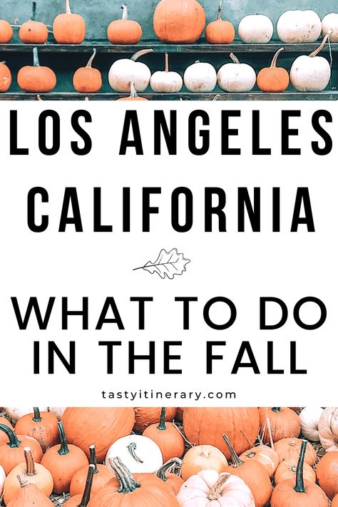 Looking for fall inspiration in Los Angeles? Autumn in Los Angeles isn't the same as it is in other parts of the country, but there are still many fall activities and things to do in Los Angeles, California. Enjoy the fall vibes in Southern California with these fun fall activities all the way into the winter. #losangelesfall #october #weekendgetaways #withkids Halloween Los Angeles, Fall In Los Angeles, Los Angeles Fall Outfits, Los Angeles Outfits Fall, California Halloween, Southern California Travel, Aesthetic California, Los Angeles Aesthetic, 2023 Mood