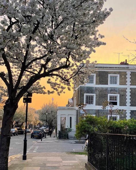 East London Aesthetic, London Countryside Aesthetic, London View Aesthetic, London Aesthetic Notting Hill, London Aesthetic Camden, Study In London, London Vibes, London Living, London Dreams