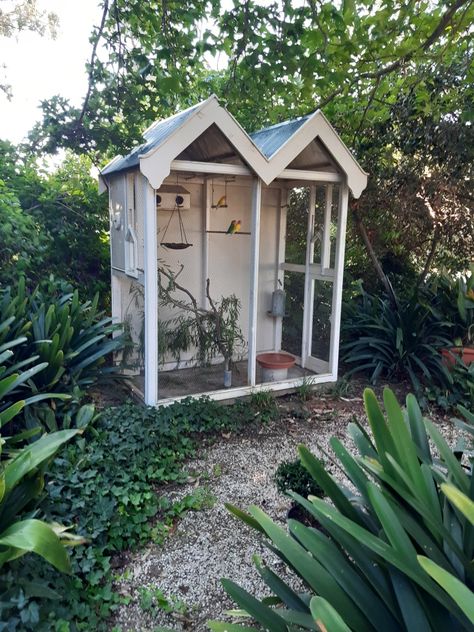 Bird Cage Ideas Outdoor, Bird Aviary Ideas Outdoor, Aviary Ideas Outdoor, Outdoor Bird Cage, Aviary Ideas, Quail House, Finch Cage, Diy Bird Cage, Backyard Birds Sanctuary