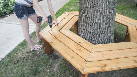 Build a Bench Around a Tree - FineWoodworking Bench Around Tree, Bench Around A Tree, Deck Around Trees, Bench Around Trees, Build A Bench, Backyard Park, Tree Seat, Tree Bench, Diy Bench Outdoor