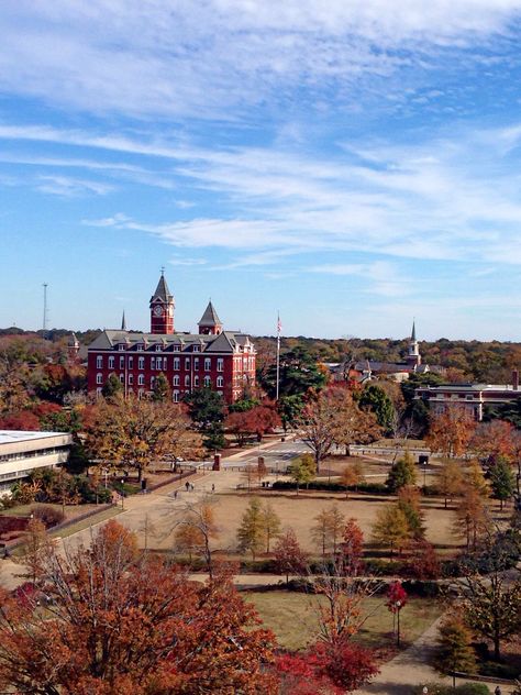 Students do not have to return to campus.. Web alabama, auburn, auburn university, eagle eye tv, educational access tv, community media, peg, youtube, fall break, auburn, auburn university, students,.. Last day to submit master’s thesis in pdf format for format check to thesis@auburn.edu.. Web oct 13 fall break nov 17 last day to withdraw—last day to withdraw from course with no grade penalty.You can look new details of Fall Break Auburn by click this link : <a href='http://rosieyatch.com/fa... Auburn Campus, Auburn University Campus, College Tour, Auburn Alabama, Auburn Football, College List, Fall Break, Dream College, Wallpaper Dekstop