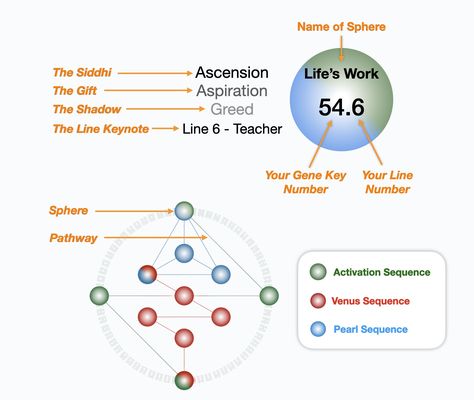 How to read your profile - Gene Keys Activation Sequence Gene Keys, Gene Keys Shadows, Gene Keys Charts, Supreme Design, Gene Keys, Inner Being, Key Board, Higher State Of Consciousness, Human Design System