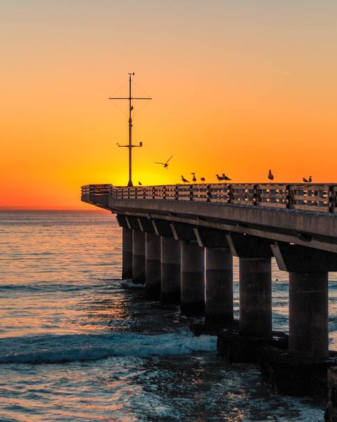 157 Likes, 8 Comments - Mouritz (@mou420) on Instagram: “Early morning sunrise at the beautiful pier in Port Elizabeth. . . . #proudlysouthafrican…” Port Elizabeth, Port Elizabeth South Africa, Early Morning Sunrise, Paintings Ideas, Eastern Cape, Romantic Honeymoon, Morning Sunrise, Historical Monuments, Adventure Sports