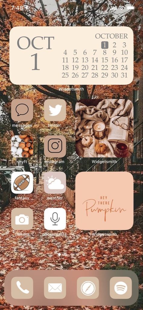 Halloween Homescreen, Ios Background, Fall Ios, Screen Pictures, Fall Homescreen, Fall Backgrounds Iphone, Iphone Widgets, Aesthetic Homescreen, Ios App Iphone